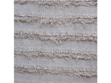 Fabric ZEISS DUNE